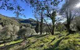 terrain à Gorbio (06500)