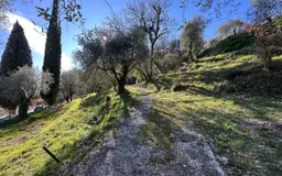 terrain à Gorbio (06500) — photo 5