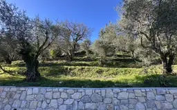 terrain à Gorbio (06500) — photo 4